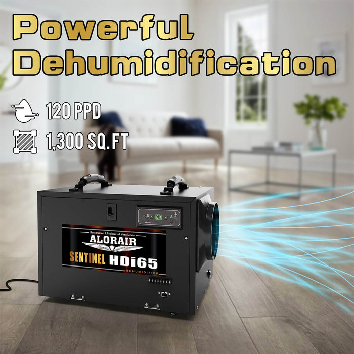 HD Photo of Sentinel Black HDi65 in a living room with a powerful caption