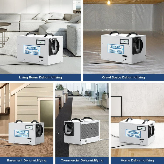 AlorAir Sentinel HD55S WiFi used in living rooms, crawl spaces, basements, offices, and homes