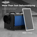 AlorAir Sentinel HDi65S dehumidifier back view with removable MERV-1 filter for improved air quality