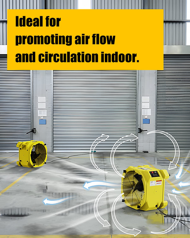 AlorAir Zeus Extreme-Yellow