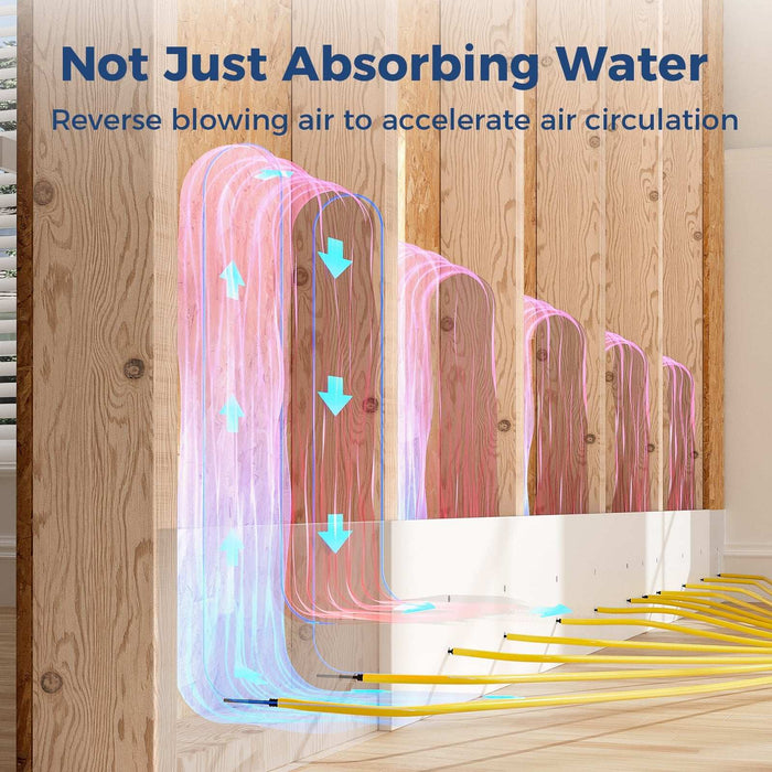 Diagram of AlorAir X-Force reverse blowing air circulation accelerating drying inside a wall cavity between wooden studs