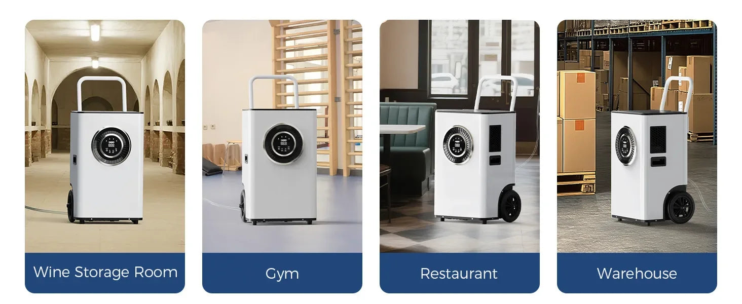 AlorAir Sentinel Elite dehumidifier shown in four applications: wine storage room, gym, restaurant, and warehouse