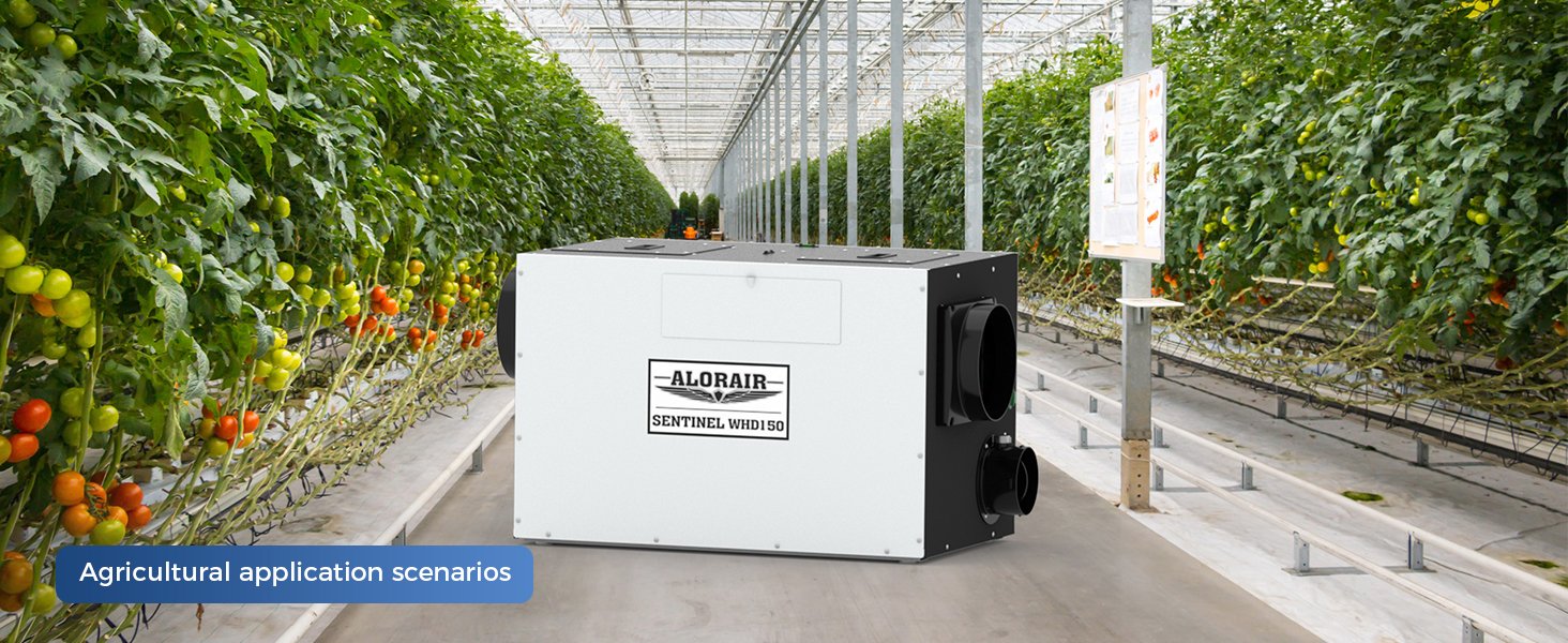 AlorAir Sentinel WHD150 whole house dehumidifier installed in a commercial greenhouse agricultural application