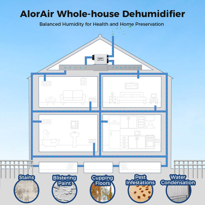 AlorAir whole house dehumidifier diagram showing ducted airflow to every room and prevention of stains, blistering paint, and pest infestations